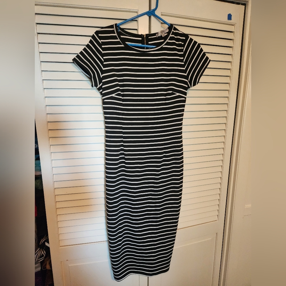 Fitted Bodycon Dress